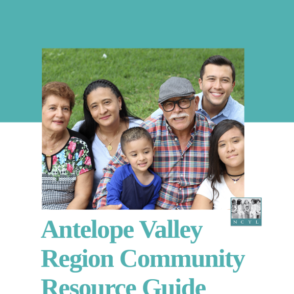 Report cover with title and photo of a multi-generational familly