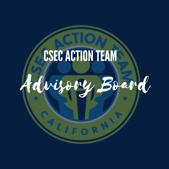 CSEC Action Team Advisory Board