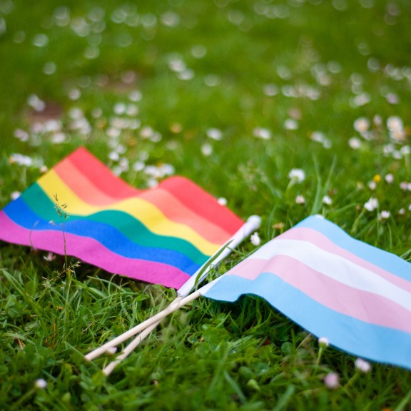 Rainbow LGBTQIA pride flag and transgender pride flag in grass and daises stock photo