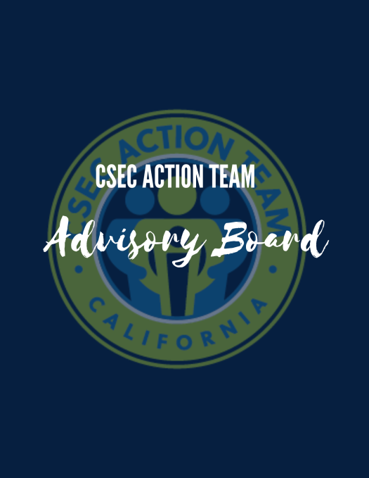 CSEC Action Team Advisory Board