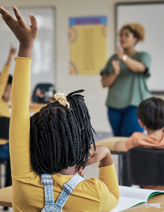 Students raising their hands in class