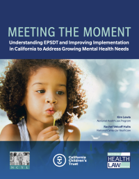 Title of report is displayed above a picture of a young child blowing dried seeds of a dandelion. Logos of authoring organizations display below the photo