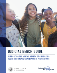 Report cover with title: Judicial Bench Guide