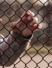 Child's hands holding fence