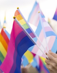 People waving transgender pride flags