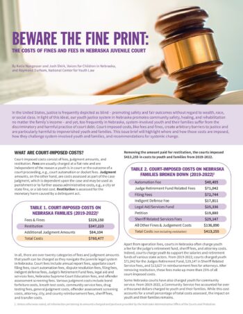 Beware the Fine Print