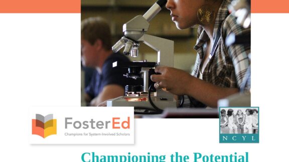 Championing the Potential of Youth on Probation: Critical Education Advocacy for Justice-Involved Youth